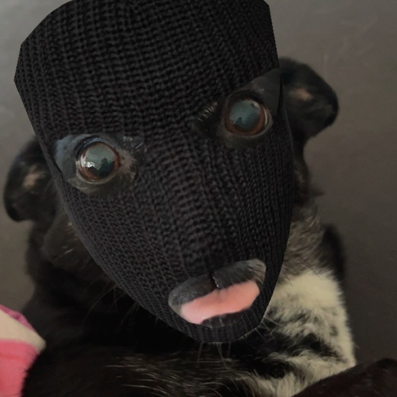 zorcia_memorcia icon