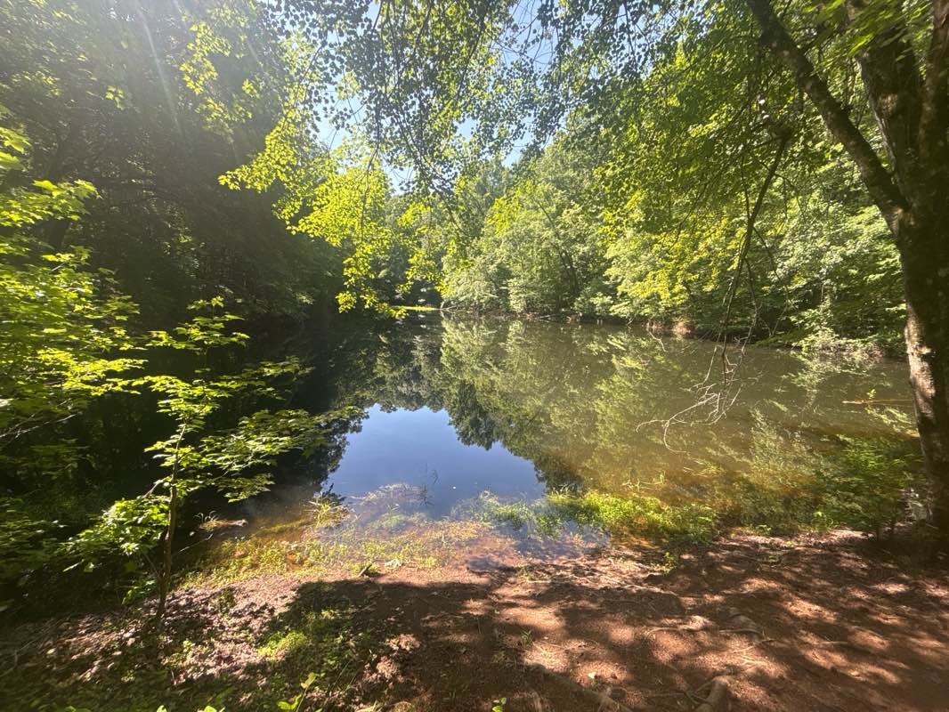 walking near me in Lake Zwerner and Yahoola Creek Reservoir in summer