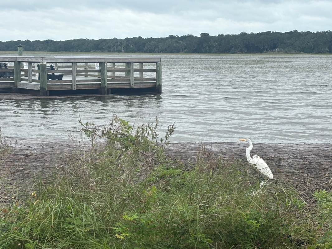 walking near me in Egans Creek Park in autumn