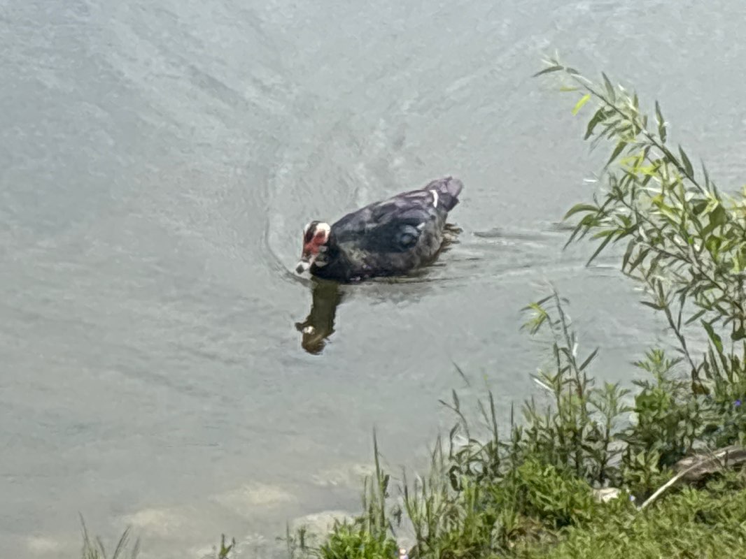 walking near me in Elm Creek in summer