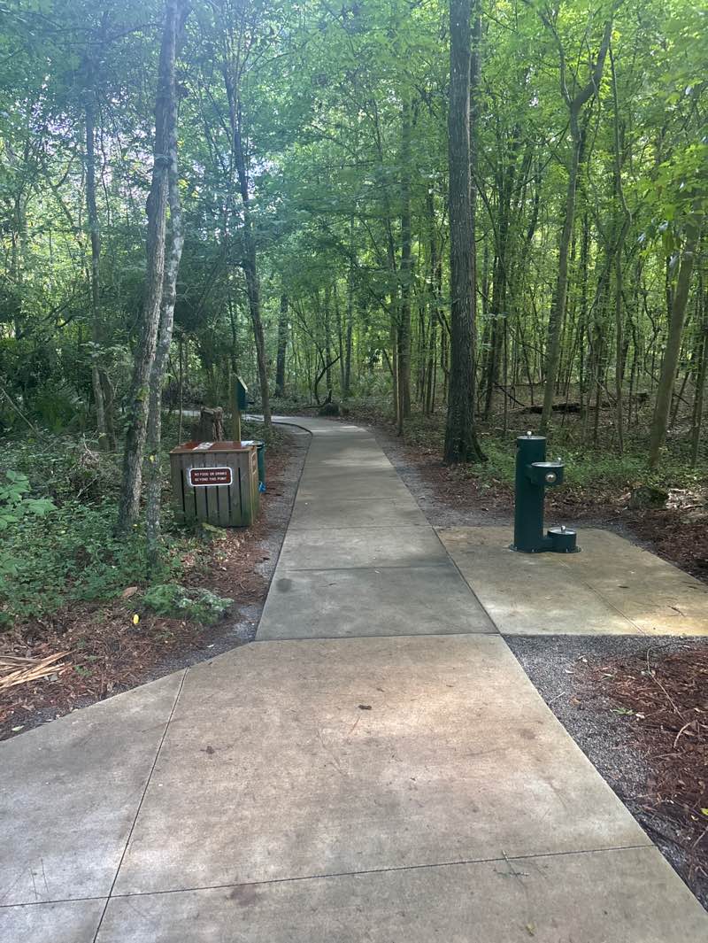walking near me in Devil's Millhopper Geological State Park in summer