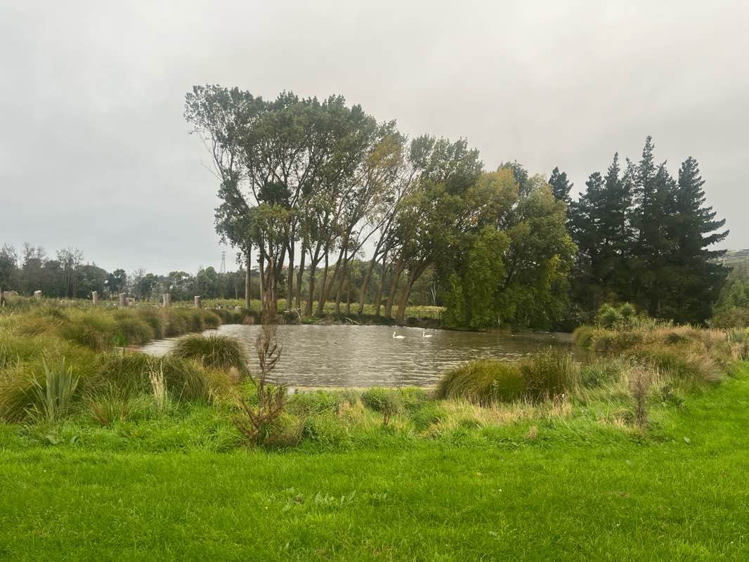 walking near me in Te Kuru in autumn