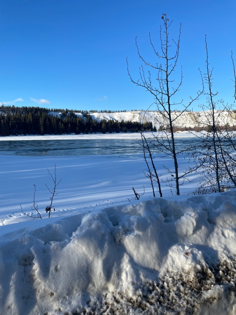 walking near me in Skateboard Park in winter