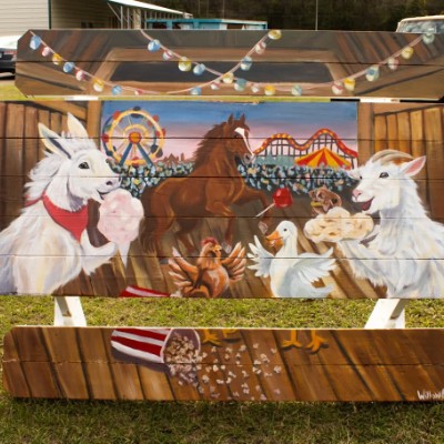 Animal Rescuer post 2