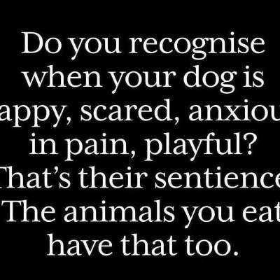 Animal Rescuer post 1