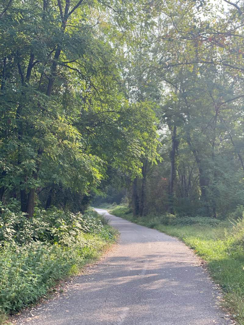 walking near me in parco del Sangone in winter