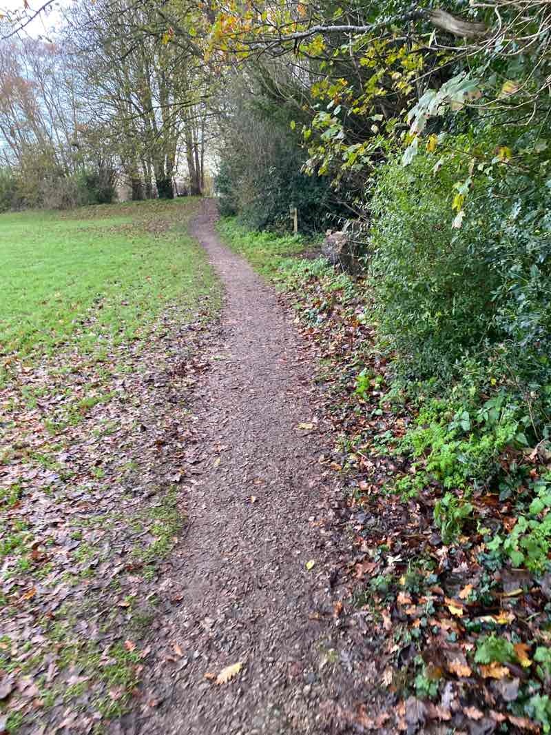 walking near me in Hospital Field in autumn