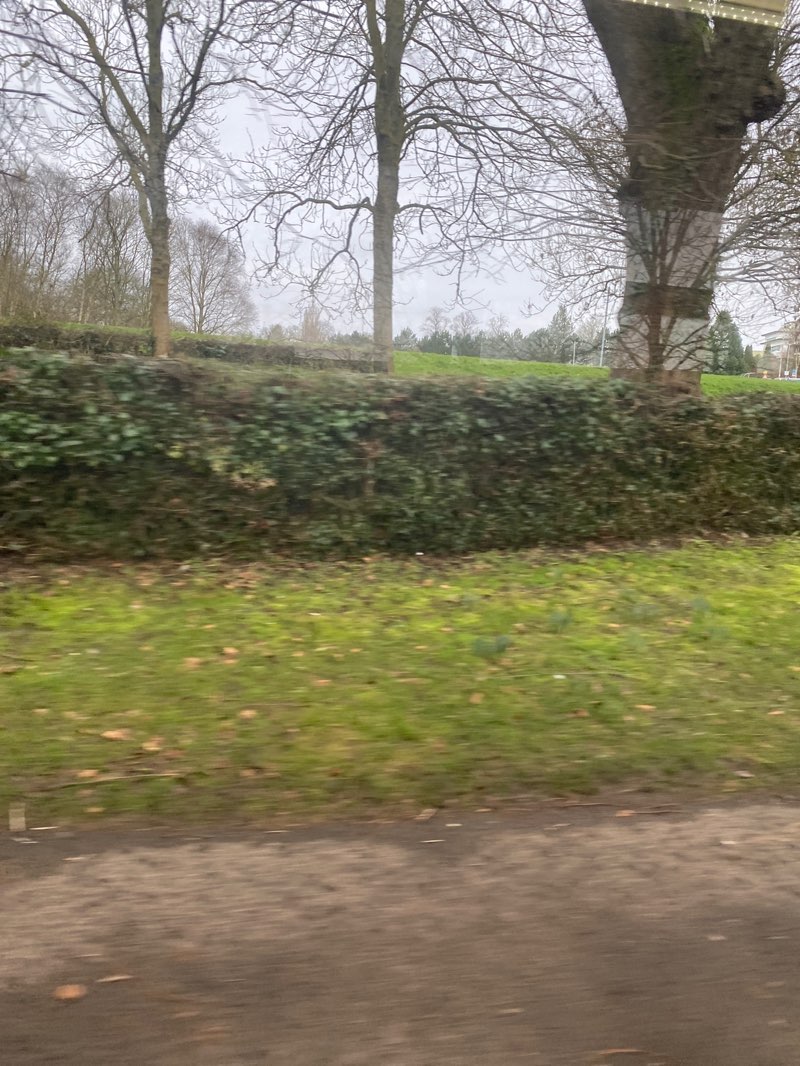 walking near me in Hospital Field in winter