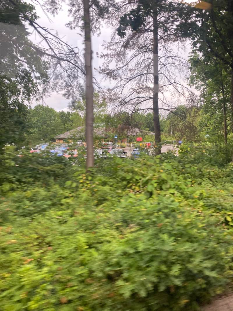 walking near me in Hospital Field in summer