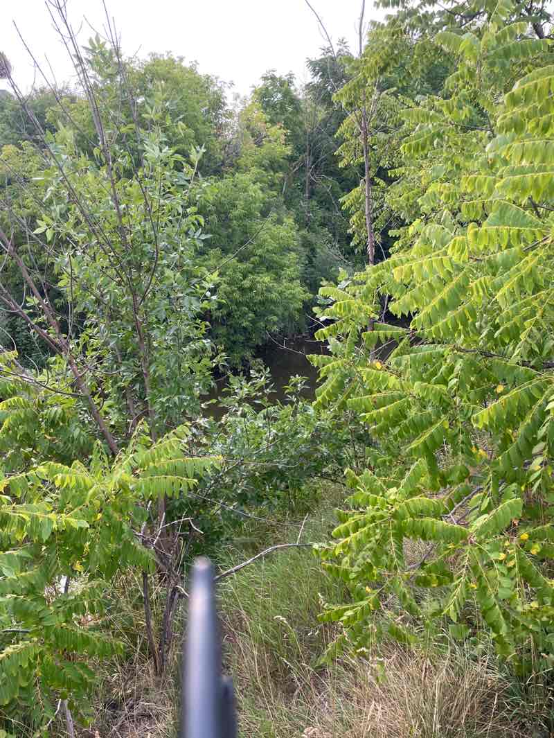 walking near me in Meadowland Park in autumn