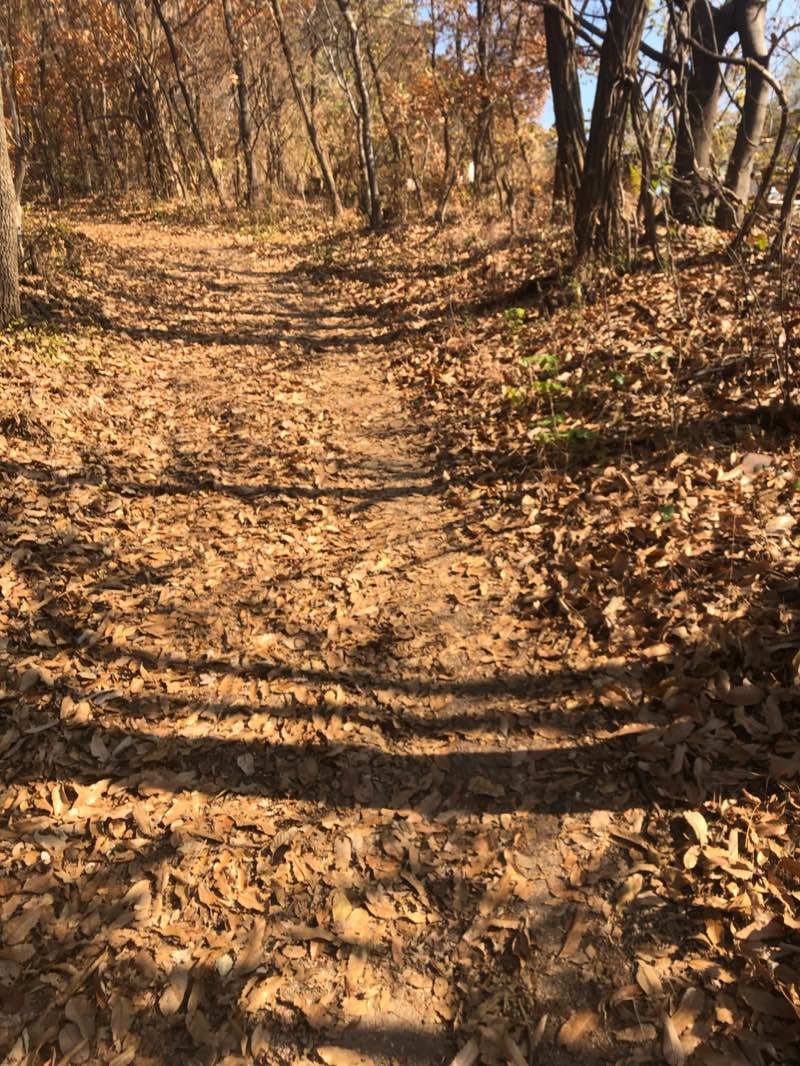 walking near me in 신천 둔치공원 in winter