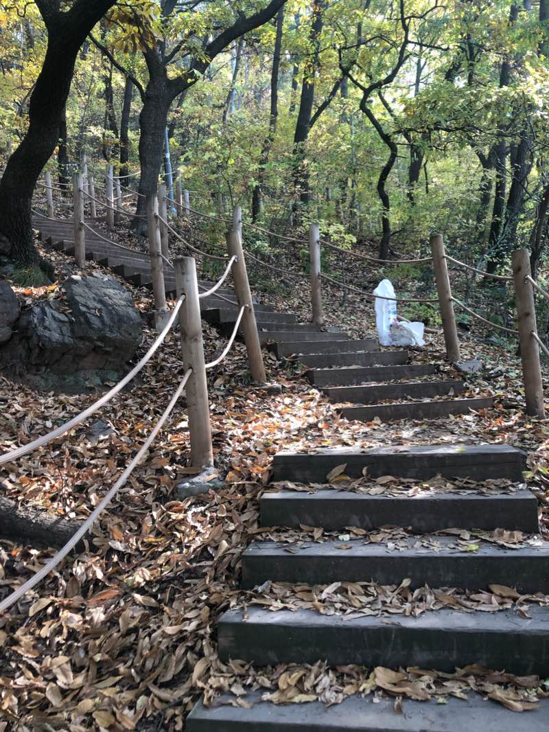 walking near me in 신천 강변공원 in winter