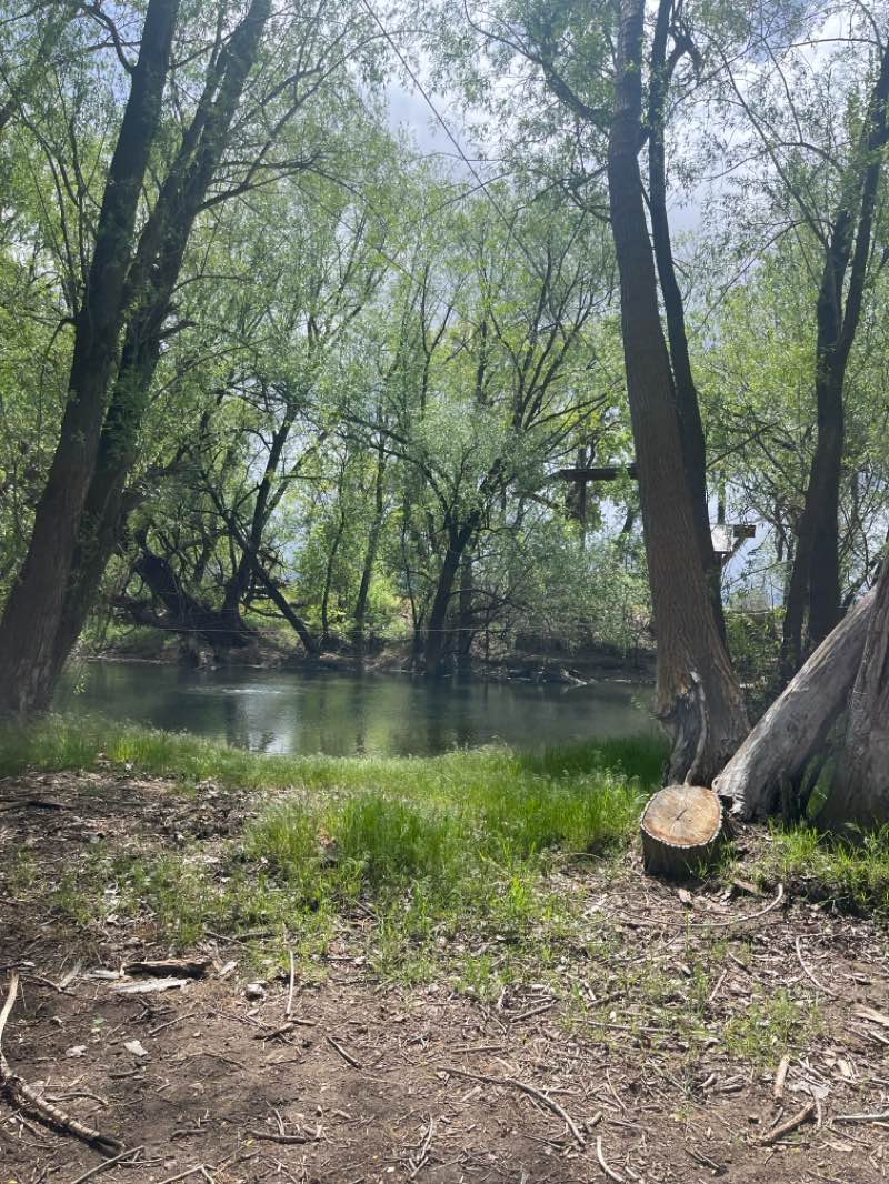 walking near me in Oxbow Park in spring