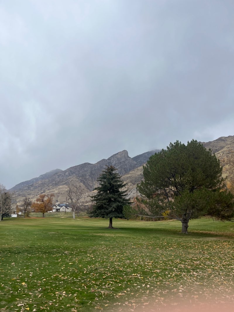 walking near me in Bicentennial Park in autumn