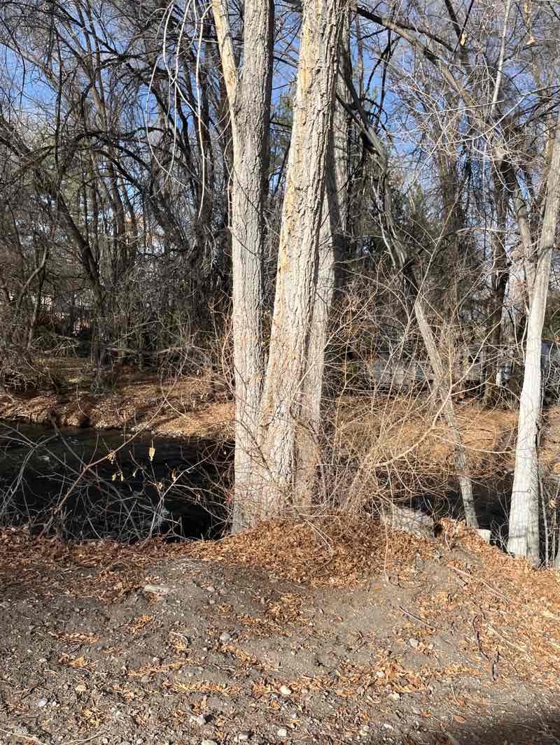 walking near me in Riverside Park in winter
