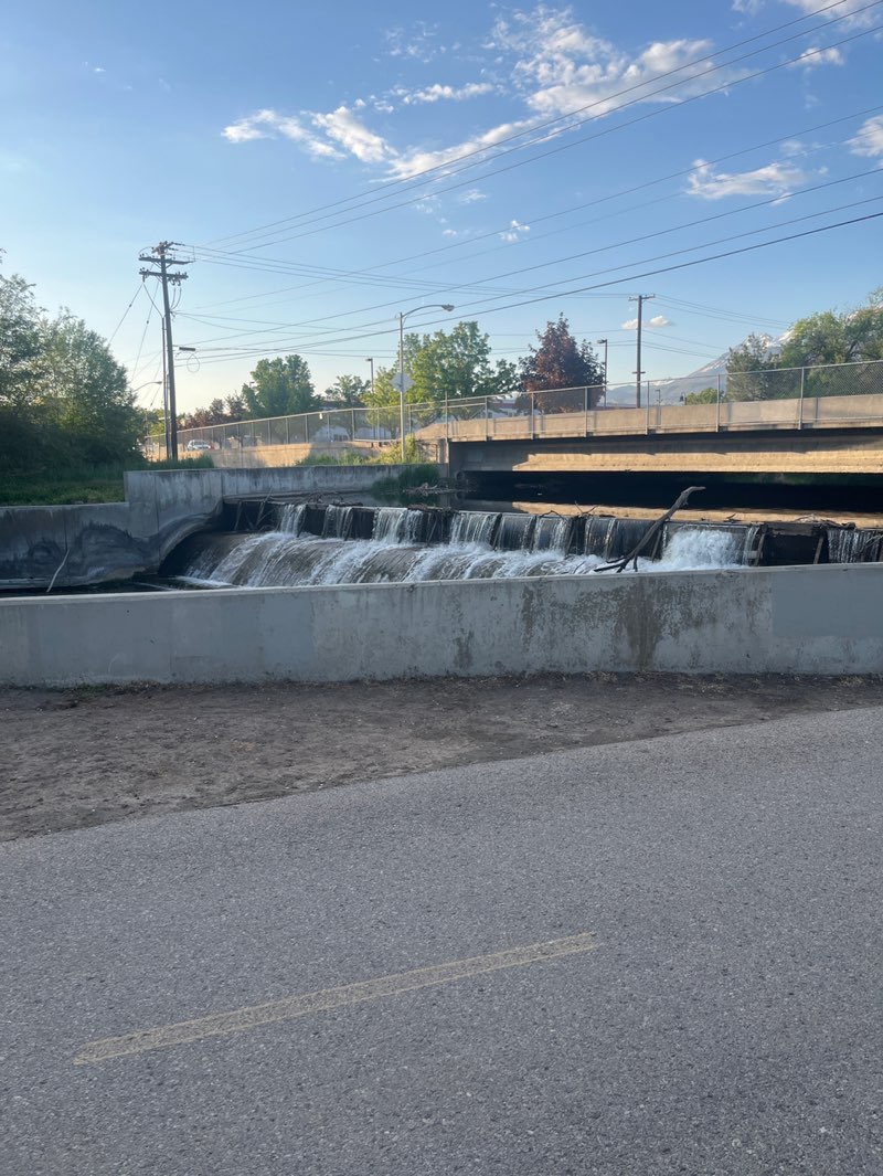 walking near me in Paul Ream Wilderness Park in spring