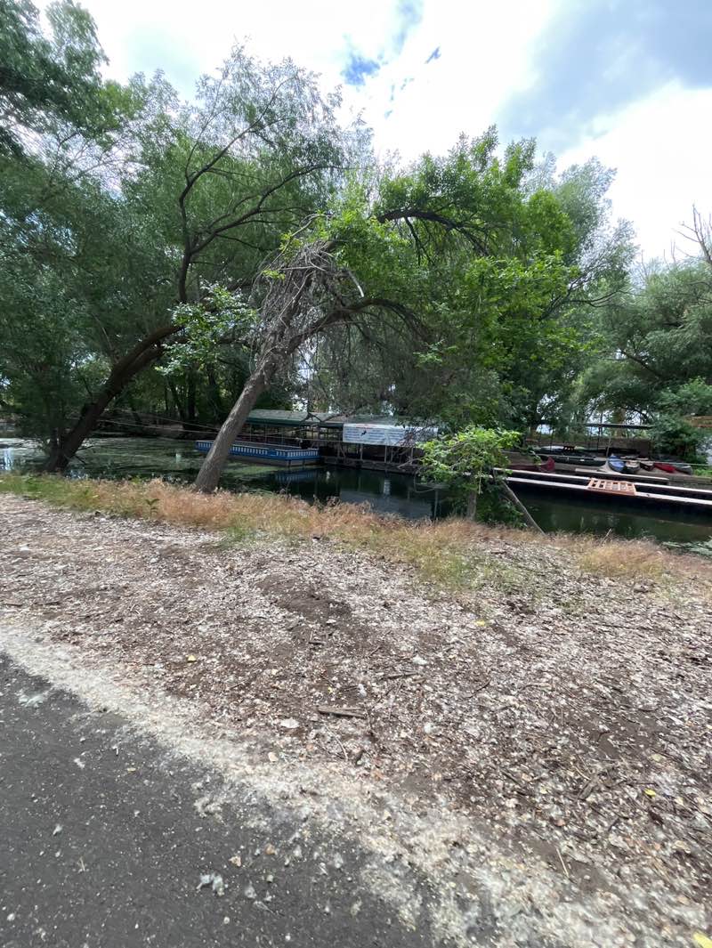 walking near me in CLAS Ropes Course in summer