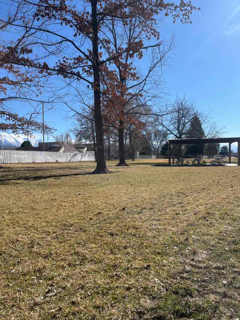 walking near me in Exchange Park in winter