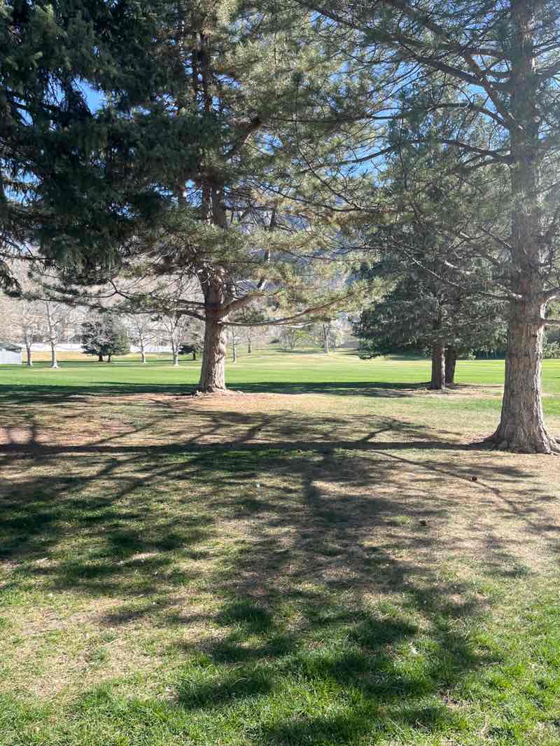 walking near me in Bicentennial Park in spring