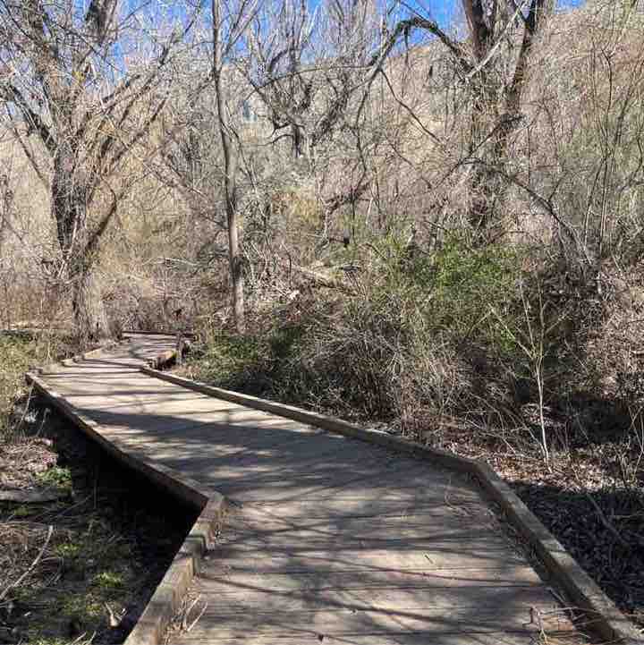 Rangus Forester post 3