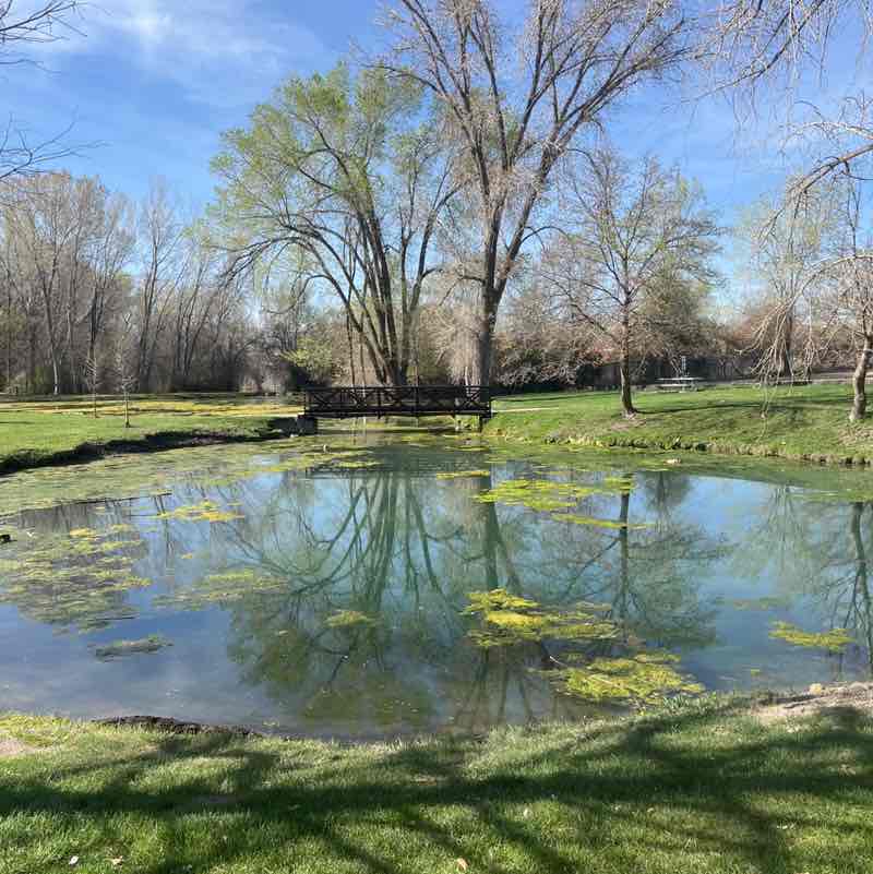 Rangus Forester post 1