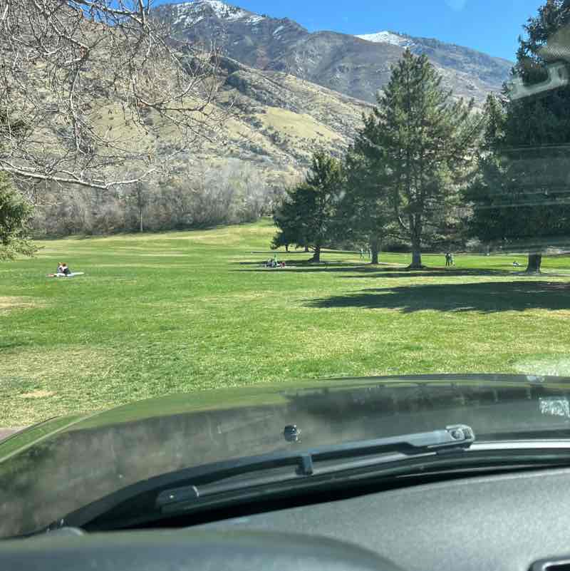 Rangus Forester post 1