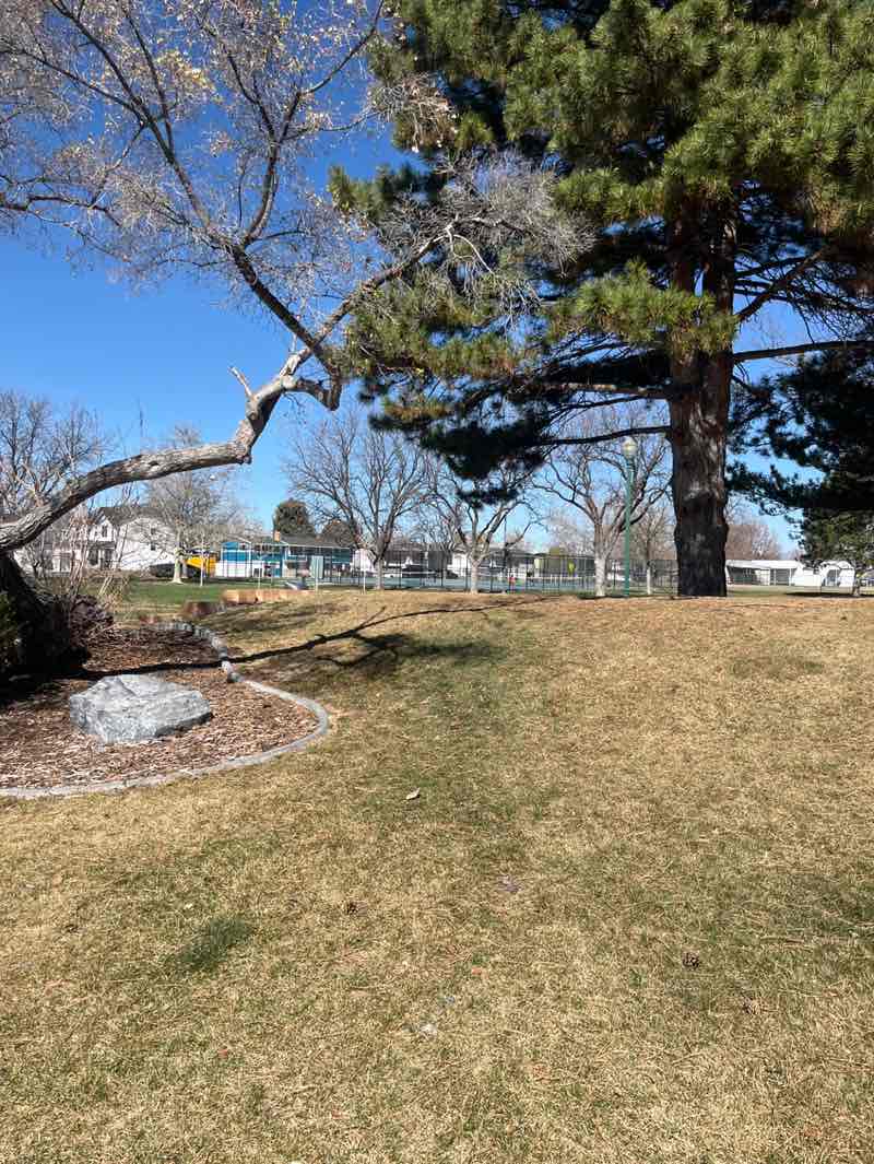 walking near me in Cherryhill Park in spring