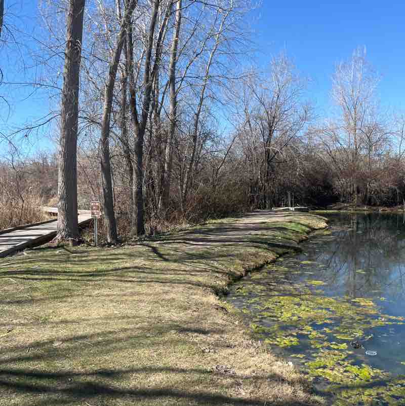 Rangus Forester post 1