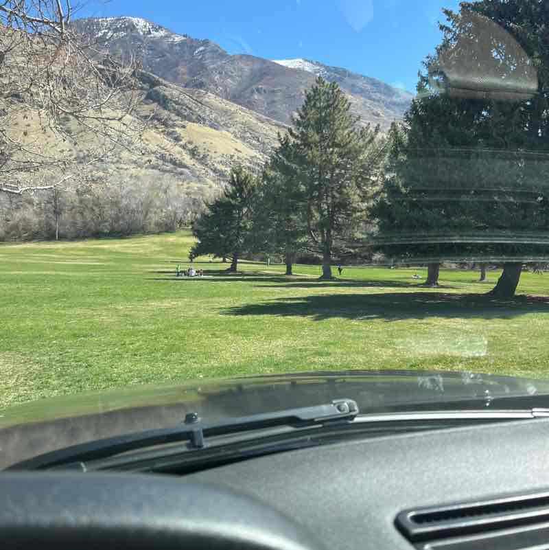 Rangus Forester post 2