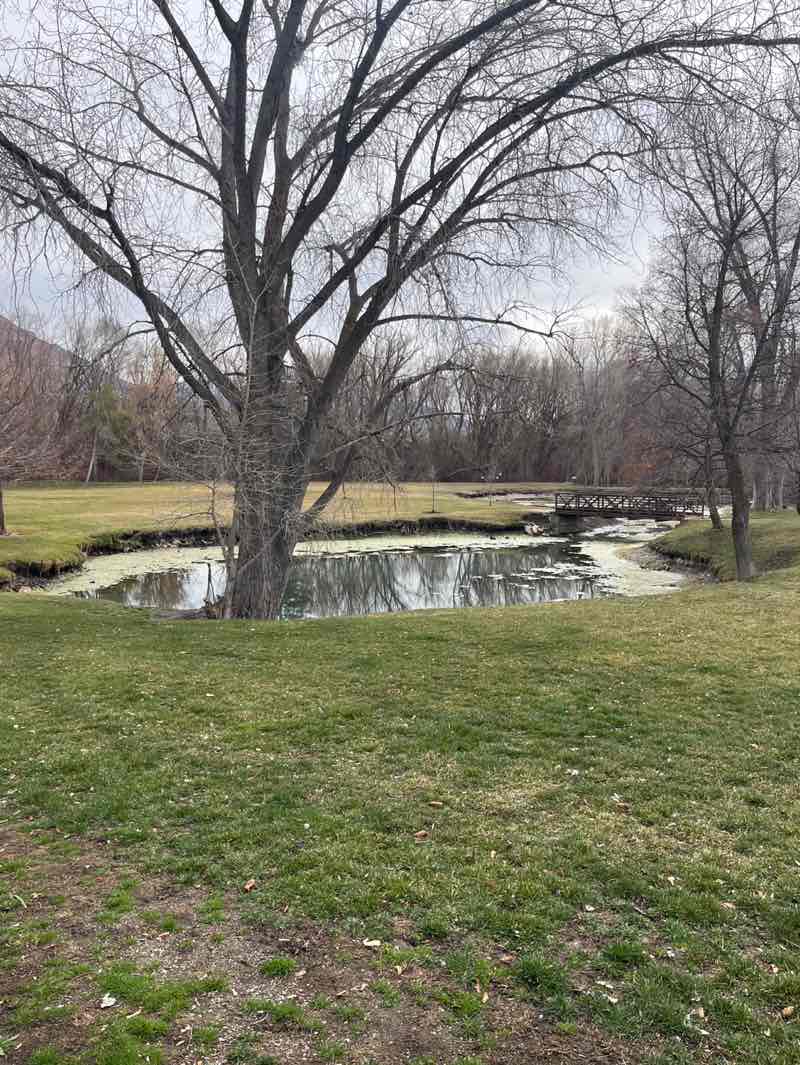 walking near me in Bicentennial Park in spring