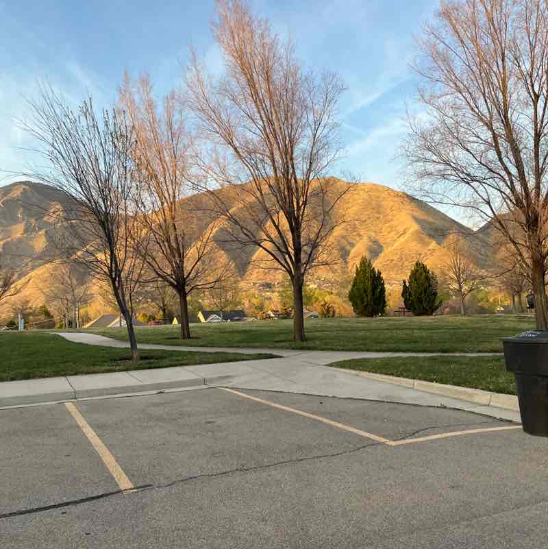 Rangus Forester post 2