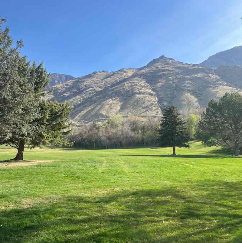 Rangus Forester post 3