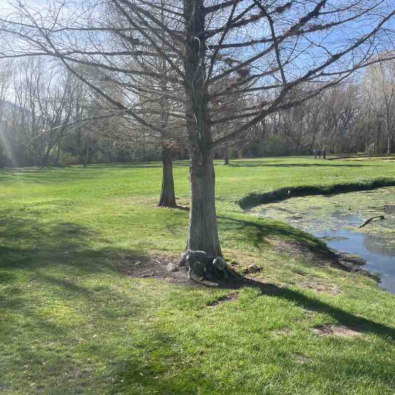 Rangus Forester post 2