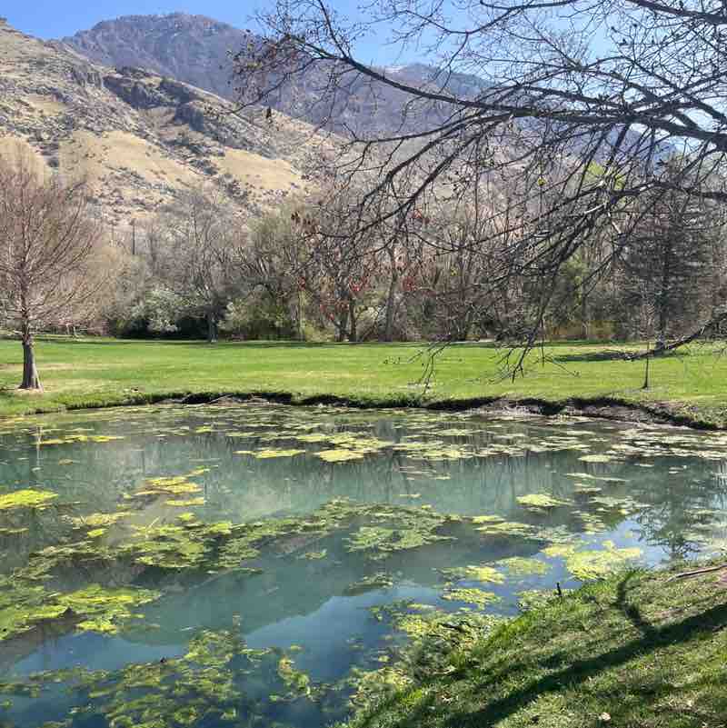 Rangus Forester post 1