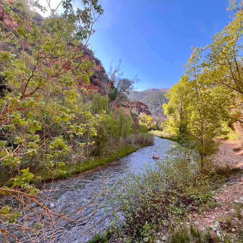 Rangus Forester post 2
