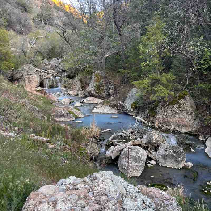 Rangus Forester post 1