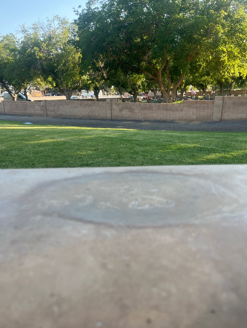 walking near me in Veterans Memorial Park in summer
