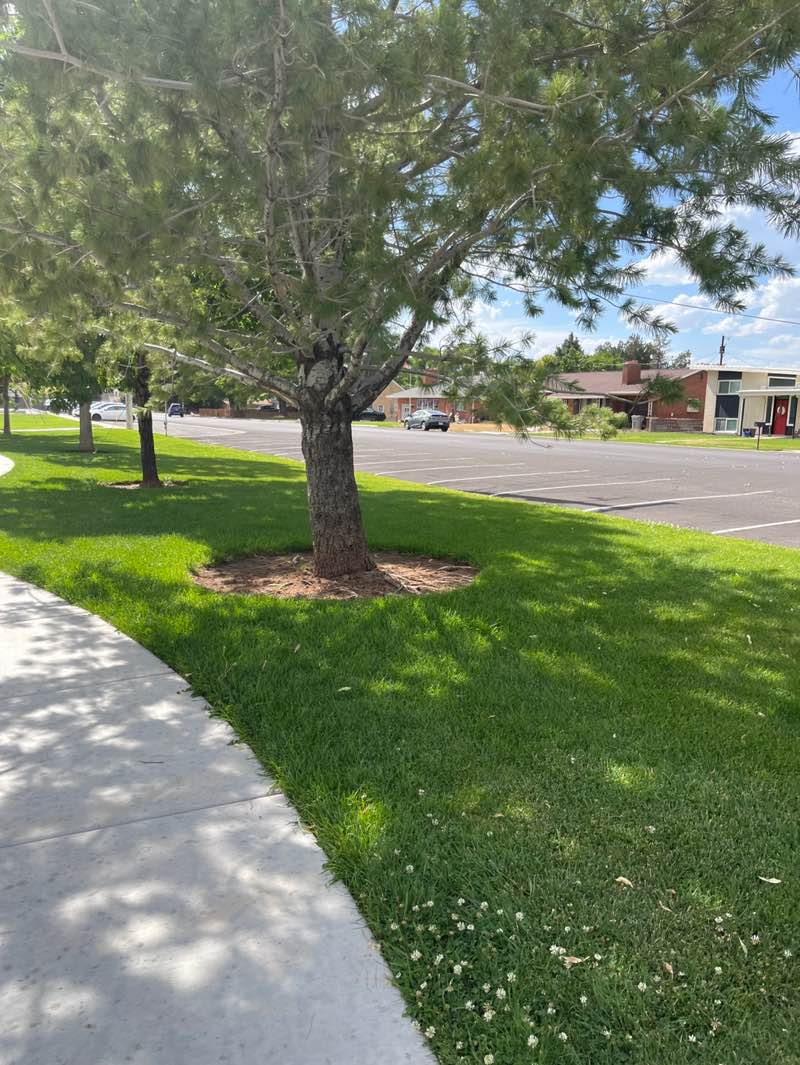 walking near me in Memorial Park in summer