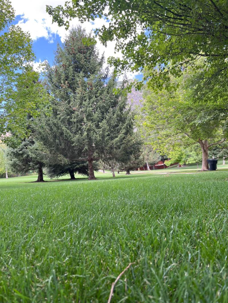 walking near me in Spring Creek Park in summer