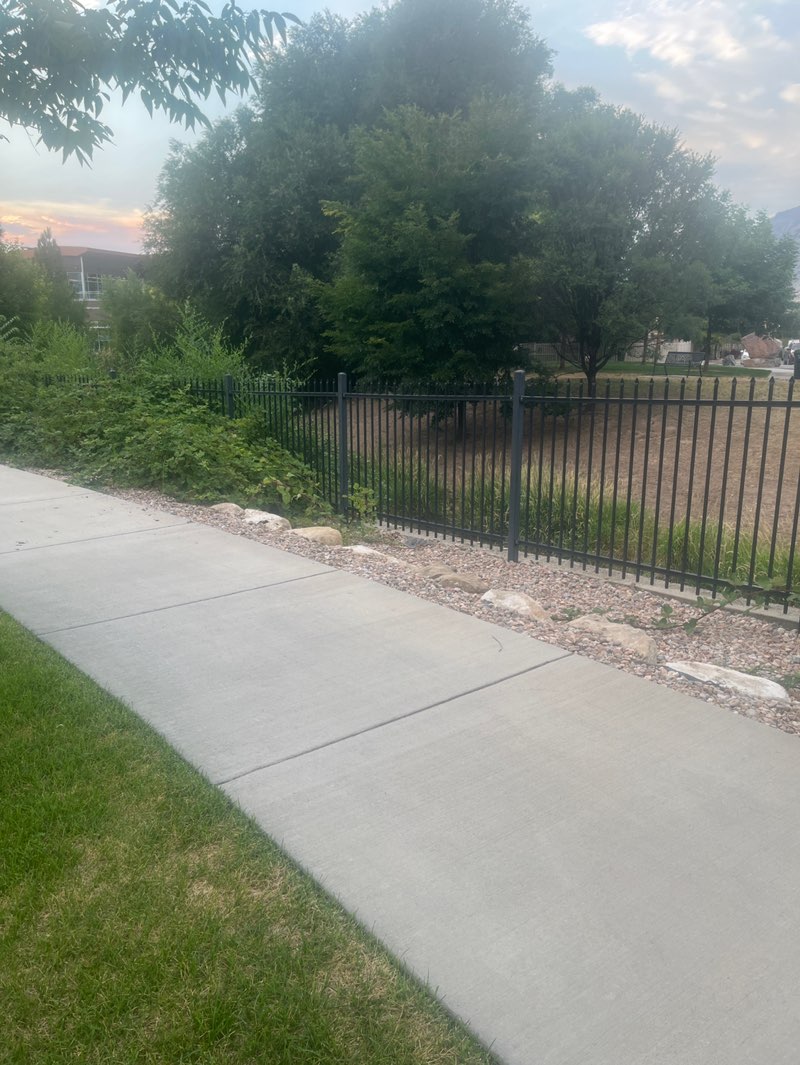 walking near me in Contractor Legacy Park in summer
