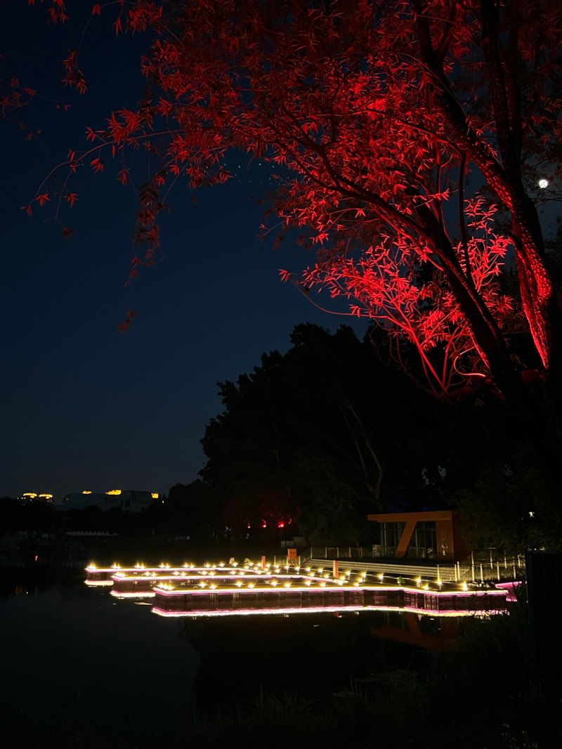 walking near me in 太阳宫公园 in winter