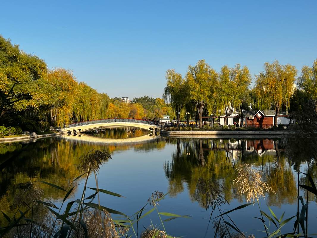 walking near me in Qingnianhu Park in winter