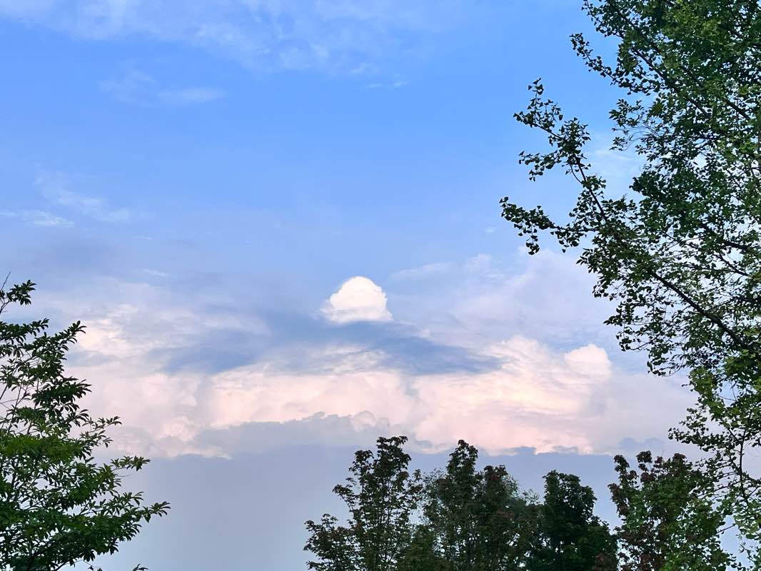 walking near me in 双流艺术公园 in winter