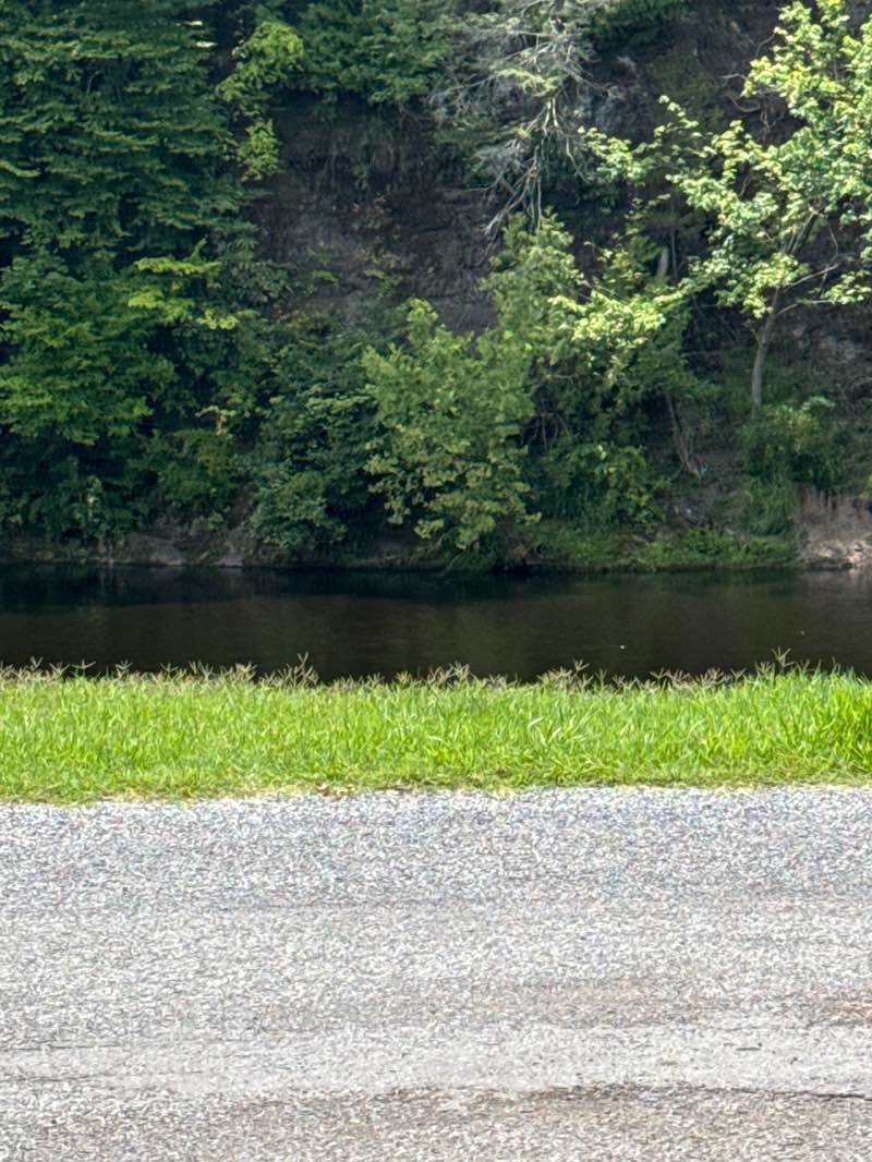 walking near me in Covington City Park & Pool in summer