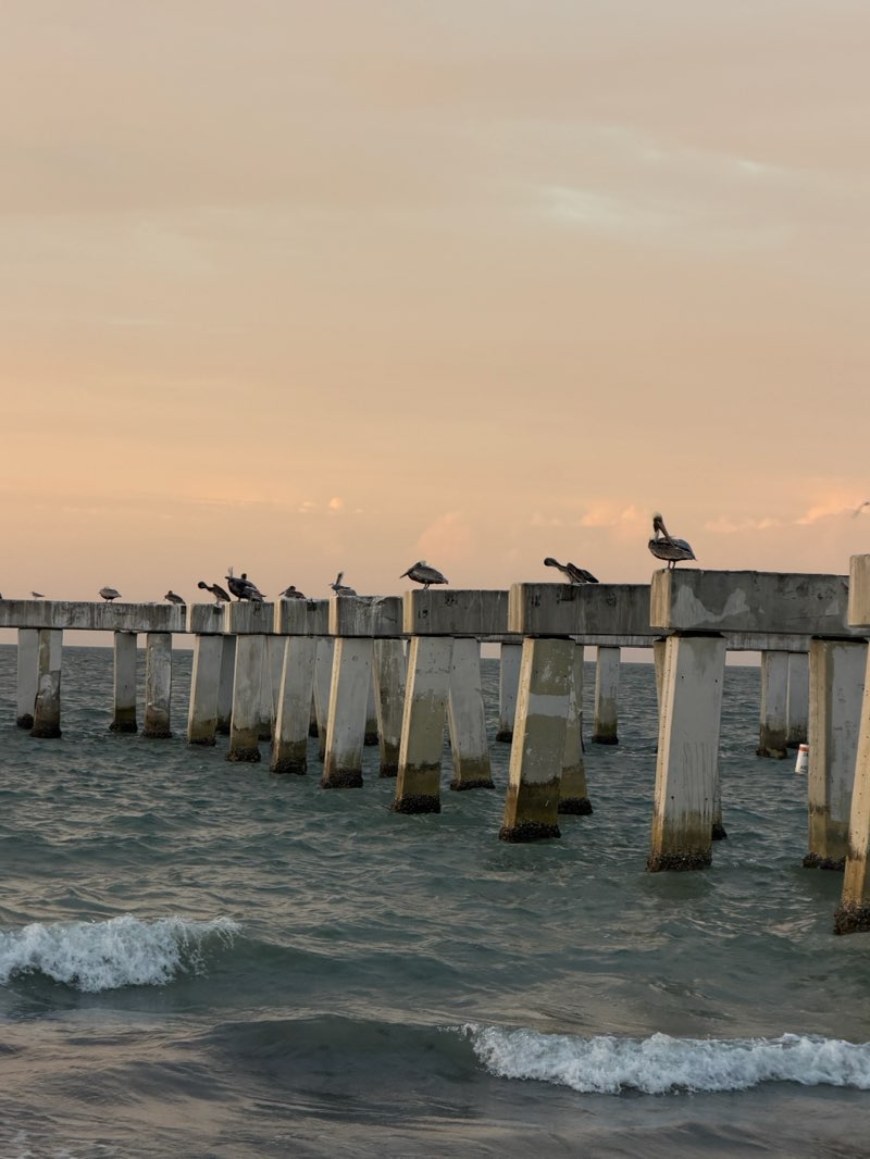 walking near me in Lynn Hall Memorial Park in winter