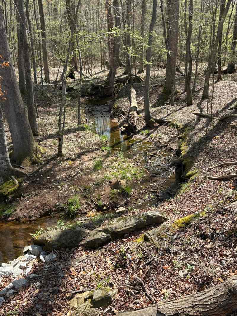 walking near me in Sara Babb Park in spring
