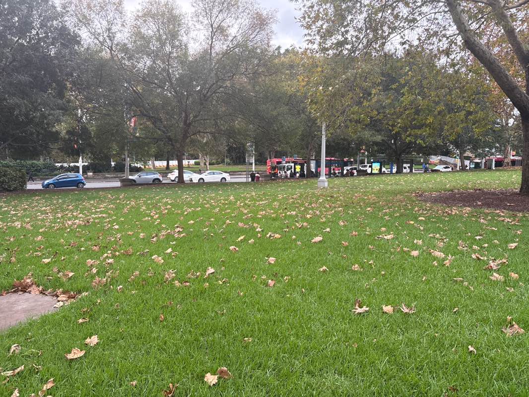 walking near me in Hyde Park South in autumn