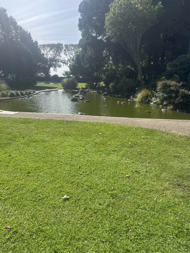 walking near me in King Edward Park in autumn