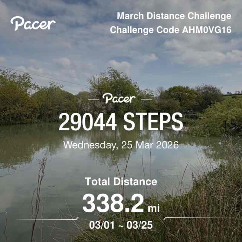 Faye 🏴󠁧󠁢󠁷󠁬󠁳󠁿 post 2