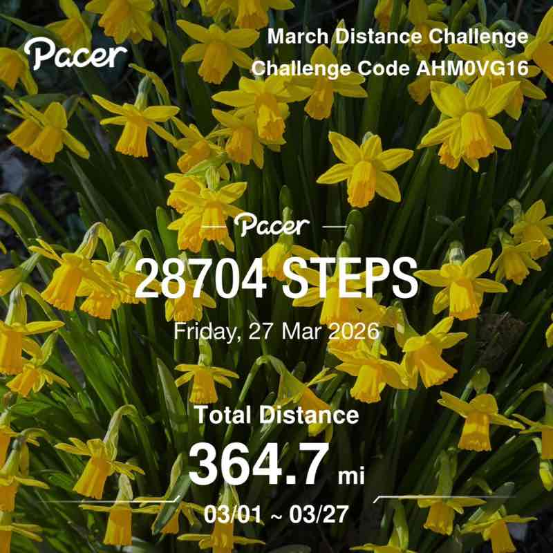 Faye 🏴󠁧󠁢󠁷󠁬󠁳󠁿 post 2